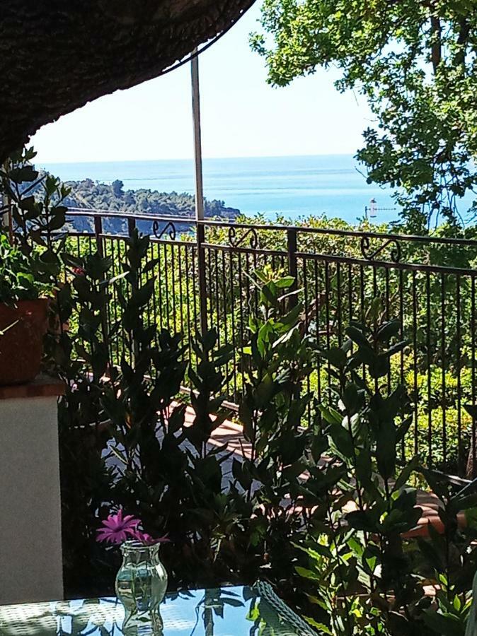 B&B La Casa Del Gelso Acquafredda Zewnętrze zdjęcie