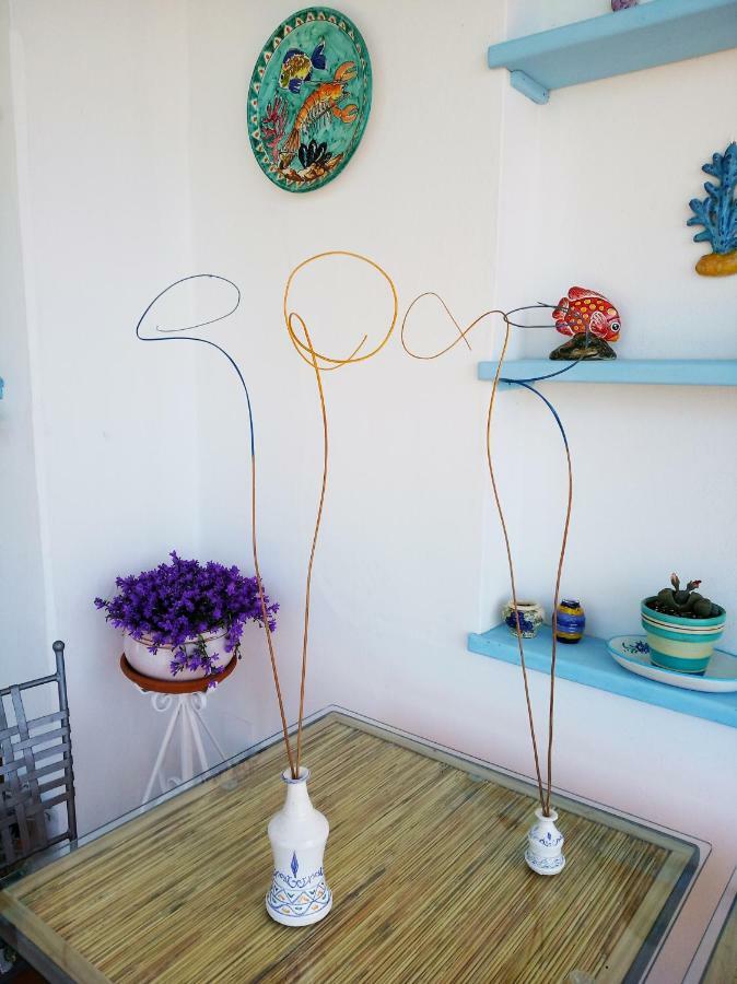 B&B La Casa Del Gelso Acquafredda Zewnętrze zdjęcie