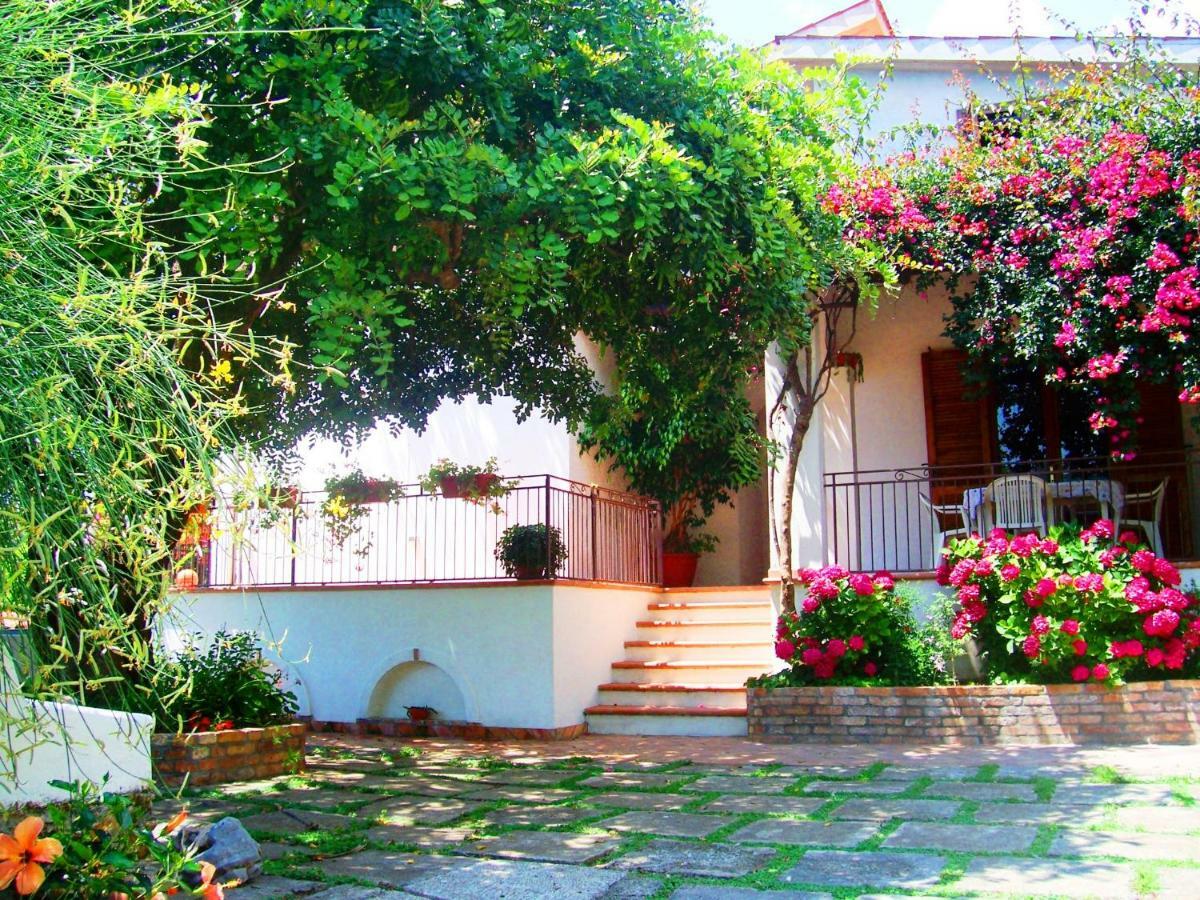 B&B La Casa Del Gelso Acquafredda Zewnętrze zdjęcie