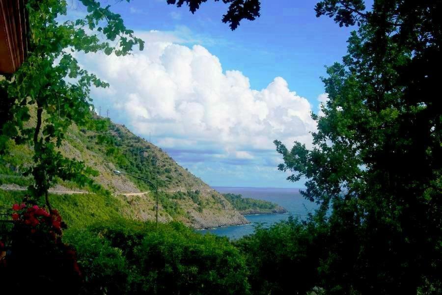 B&B La Casa Del Gelso Acquafredda Zewnętrze zdjęcie