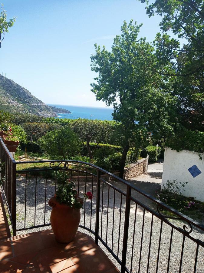 B&B La Casa Del Gelso Acquafredda Zewnętrze zdjęcie