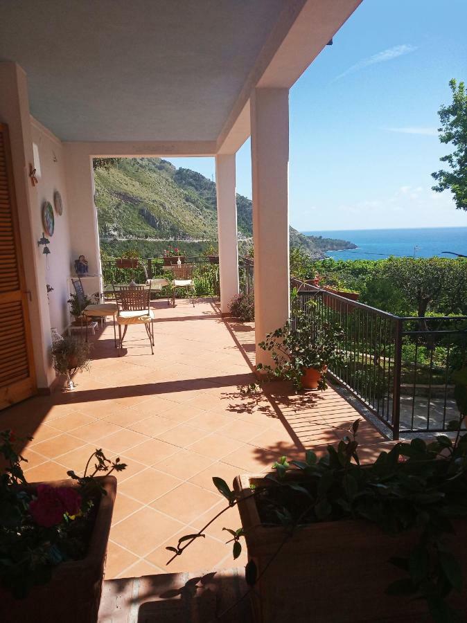 B&B La Casa Del Gelso Acquafredda Zewnętrze zdjęcie
