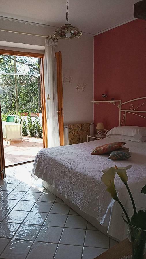 B&B La Casa Del Gelso Acquafredda Zewnętrze zdjęcie