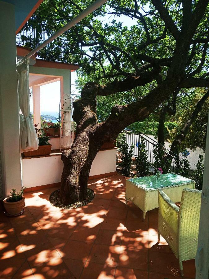 B&B La Casa Del Gelso Acquafredda Zewnętrze zdjęcie