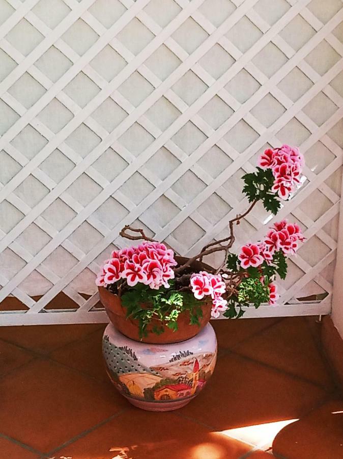 B&B La Casa Del Gelso Acquafredda Zewnętrze zdjęcie